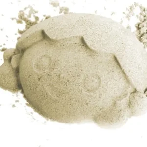 Set 6 forme pentru nisip Fritz Gowi