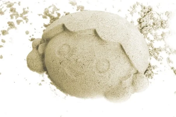 Set 6 forme pentru nisip Fritz Gowi