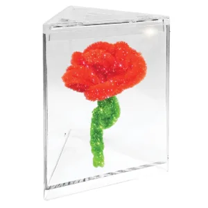 Set creativ