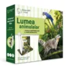 Set creion electronic si carte Raspundel Istetel Lumea animalelor
