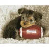 Set de creatie mozaic Diamond dotz Footy Pup