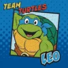 Set de creatie mozaic Diamond dotz TMNT Leo