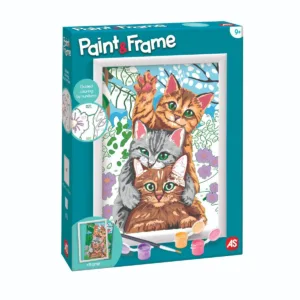 Set de pictura pe numere