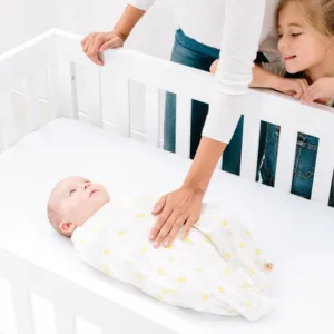 Sistem de Infasare Ergobaby Bee Happy