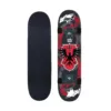 Skateboard Orion ABEC1 80 cm Vultur Mandelli