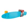 Skateboard din plastic