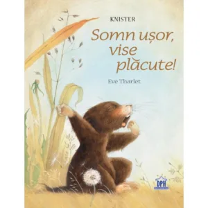 Somn usor