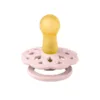 Suzeta Bibs Boheme Latex tetina rotunda 6 luni + Blossom