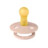 Suzeta Bibs Studio Collection Colour Flower Latex tetina rotunda 6 luni + Blush