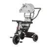Tricicleta Chipolino Pulse 2024 Koala