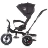 Tricicleta pentru copii Chipolino Arena Asphalt cu sezut reversibil