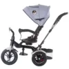 Tricicleta pentru copii Chipolino Arena Mist cu sezut reversibil