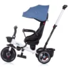 Tricicleta pentru copii Chipolino Pegas Atlantic cu sezut reversibil