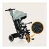 Tricicleta pentru copii Lionelo Berry Verde 2 in 1