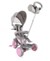 Tricicleta pentru copii Lorelli Lucky Crew Grey Pink multifunctionala