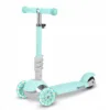 Trotineta 3 in 1 pentru copii Ricokids Buggy Mint cu scaunel reglabil