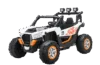 UTV electric 4x4