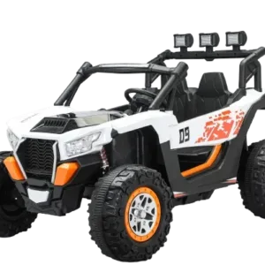 UTV electric 4x4