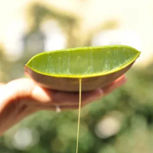 Ulei Organic Wonder 50 ml Naturalsophy