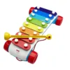 Xilofon clasic pentru bebelusi Fisher Price