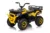 ATV electric copii 2-5 ani, Mini DESERT, 120W 12V, music player, telecomanda control parental, culoare galbena