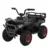 ATV electric pentru copii intre 2 si 5 ani, model Mini Desert, 120W 12V, telecomanda inclusa, bluetooth, negru