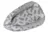 Baby Nest 3 in 1 din bumbac cu salteluta si pernuta inclusa Feathers