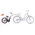 Bicicleta Co-Pilot WeeRide WR06