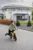 Bicicleta de echilibru pentru copii, Adamex Speed M8, pliabila, fara pedale, cu Saua reglabila si manere confortabile, 2-5 ani, pana la 35 kg, Mellow Yellow