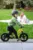 Bicicleta de echilibru pentru copii, Adamex Speed M8, pliabila, fara pedale, cu Saua reglabila si manere confortabile, 2-5 ani, pana la 35 kg, Orange Magma