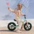 Bicicleta pentru copii copii Kinderkraft 2Way Next Offroad Candy Mint, scaun reglabil de la 32-41 cm, roti spuma EVA, ghidon reglabil, pentru copii de la 2 ani pana la 35 kg, unghi de viraj limitat