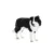 Caine Border Collie Mojo Animal Planet