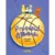Carte Editura Arthur, Procesul Limonadei, Jacqueline Davies, editie noua