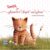 Carte Tomita, un ghemotoc dupa un ghem , Editura DPH