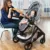 Carucior Near2Me TS Steeple Grey