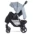 Carucior sport Daisy Basic cu husa de picioare Black  Silver Blue