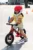 Casca Racing WhiteRed reglabila, orificii de ventilare, varsta 3-8 ani