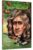 Cine a fost Isaac Newton?, Janet B. Pascal