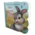 Disney Iepurasi, Carticica mea cu ferestruic, O surpriza pentru Bocanila