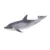 Figurina Mojo, Delfin