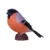 Figurina Mojo, Pasare cantatoare Bullfinch