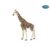 Girafa Papo