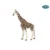 Girafa Papo