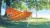 Hamac Barbados papaya