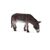 Magar Mojo Animal Planet