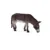Magar Mojo Animal Planet