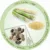 Olita bio-degradabila Panda din trestie de zahar Rotho-babydesign