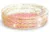 Piscina gonflabila copii Intex Glitter sclipici roz 56 litri 86 x 25 cm