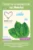 Plasture antireumatic Easycare Mentol 18x12cm