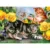 Prima mea pictura pe numere mare Royal Brush Junior Pisoi La Joaca 29×39 cm
